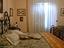 Immagine 17