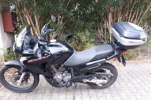 transalp unico proprietario 