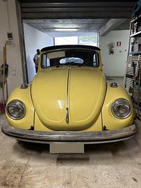 Volkswagen maggiolone