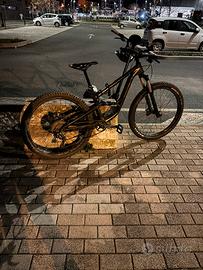 focus enduro