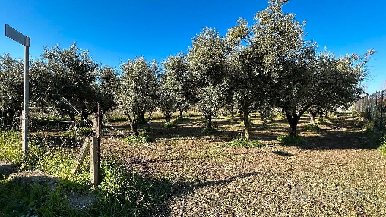 Terreno edificabile - Vista 6