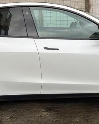 MODEL Y AWD MAX 20000