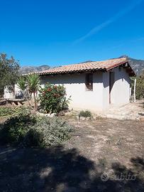 Casa con 2.000 mq circa di terreno piantum