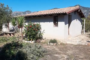 Casa con 2.000 mq circa di terreno piantum