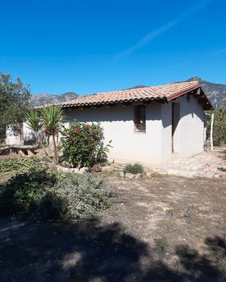 Casa con 2.000 mq circa di terreno piantum