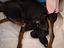 Immagine 3