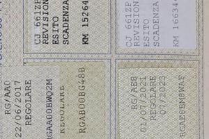  smart disel 450 800 cdi(più una donatrice)