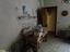Immagine 21