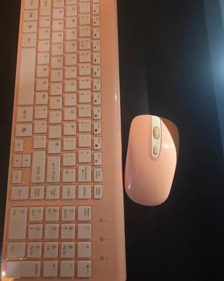 Tastiera e mouse wireless 