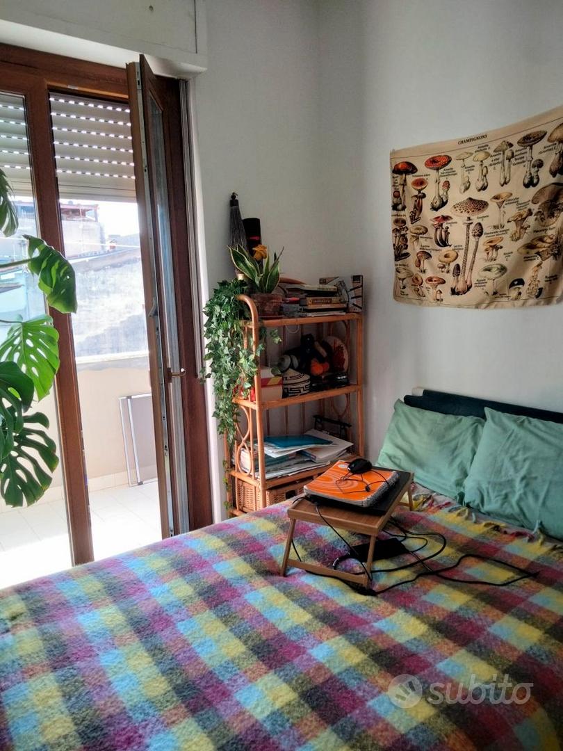 Appartamento – Sassari, Centro storico, Sacro Cuore - Vista 3