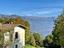 Immagine 7