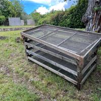 Graticci legno per olive - Antichi