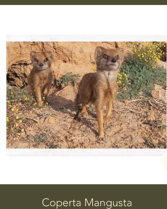 Coperta mangusta