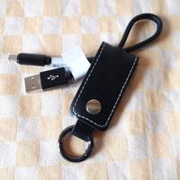 Cavo dati USB per Iphone Ipad con portachiavi