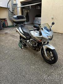 Honda CBF 600 Special