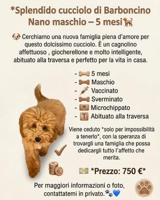 Animali