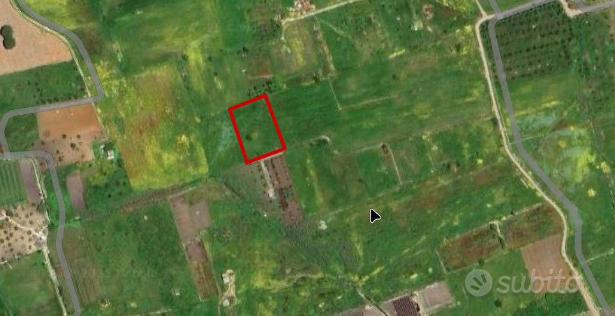 Terreno agricolo in zona PADULA CHIANCA - Vista 5