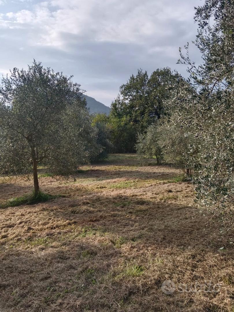 Terreno agricolo sui Colli Euganei - Vista 3