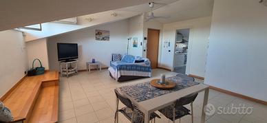 Attico Mansardato Con Piccolo Giardino