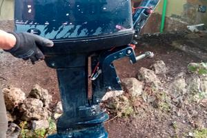 Motore nautico Evinrude 2 tempi 6.0 cavalli