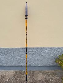 Canna da pesca da surfcasting e 2 mulinelli