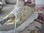 Immagine 3