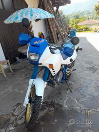 moto dominetor