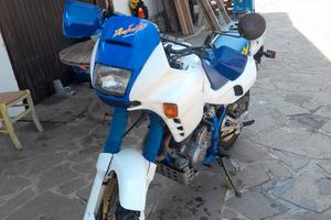 moto dominetor
