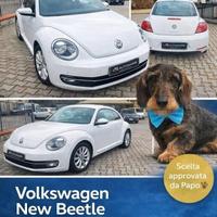 VOLKSWAGEN Maggiolino 1.2 TSI Design