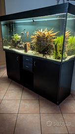 acquario 450 litri completo