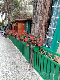 Bounglaw 6 posti letto