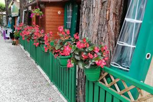 Bounglaw 6 posti letto