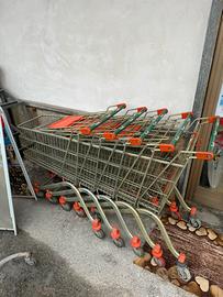 Carrello spesa piccolo