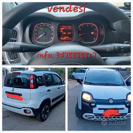 panda Hybrid cross 