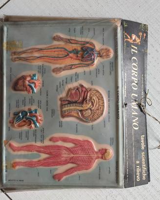 TAVOLE SCIENTIFICHE