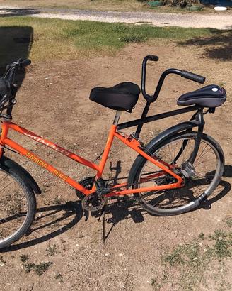 BIBICI