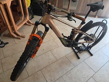 orbea wild