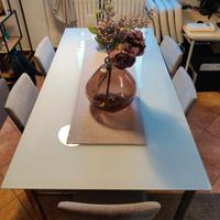 Tavolo da pranzo in vetro satinato 190x95