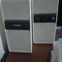 cassa per la casa Yamaha 