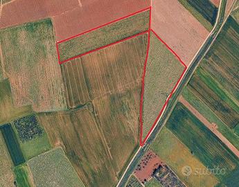 Terreni agricoli tra Serramanna e Samassi