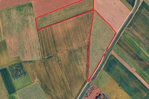 Terreni agricoli tra Serramanna e Samassi