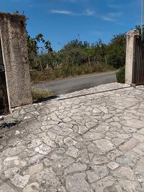Appartamento piano terra