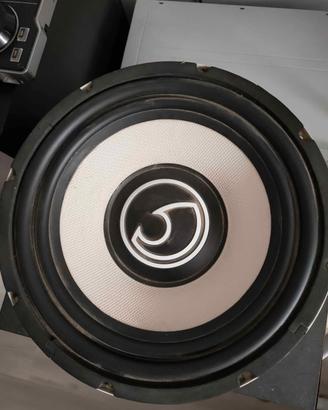 subwoofer da 12"