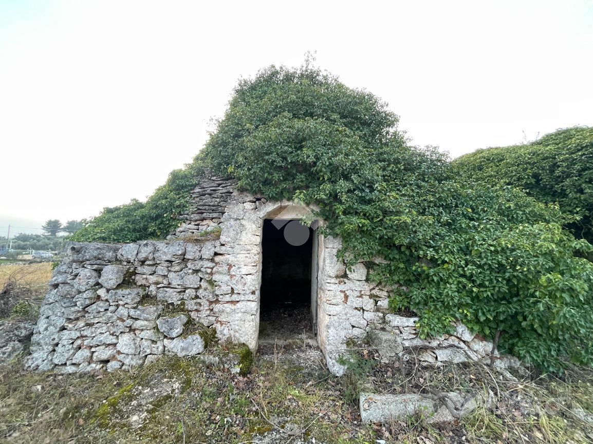 RUSTICO A CEGLIE MESSAPICA - Altro