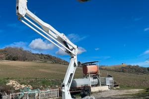 Piattaforma aerea ragno