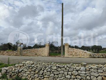 Terreno Agricolo Sannicola [Cod. rif 3280823VRG]
