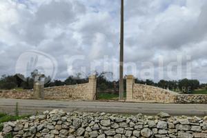 Terreno Agricolo Sannicola [Cod. rif 3280823VRG]