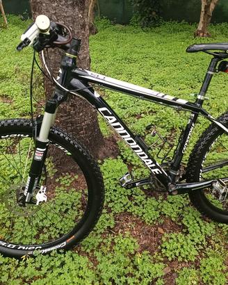 cannondale 26"