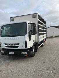 Iveco eurocargo cassone centinato e pedana