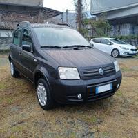 Fiat Panda 1.2 Climbing 4x4